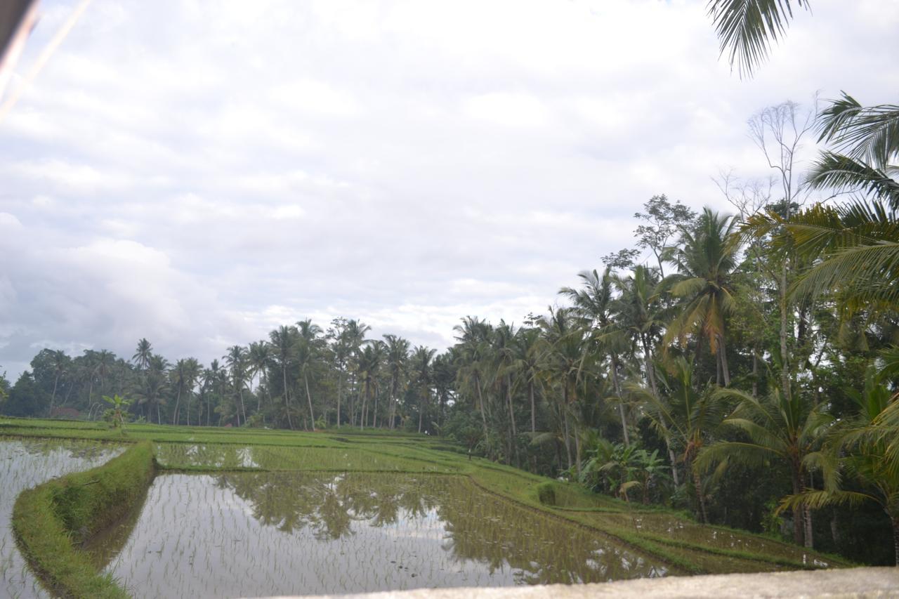 Buda Cottage Ubud Zewnętrze zdjęcie