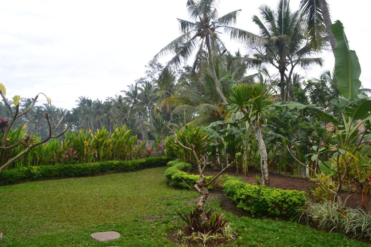 Buda Cottage Ubud Zewnętrze zdjęcie